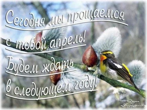 Красивые картинки с Последним апрельским днем