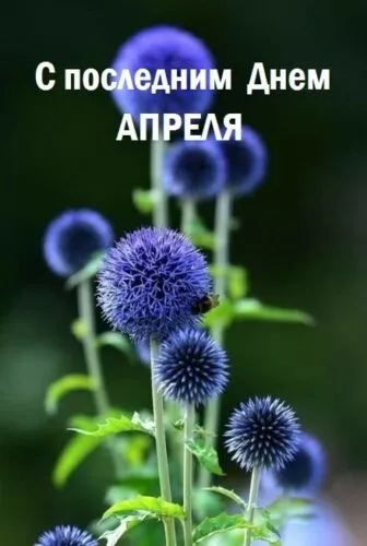 Красивые картинки с Последним апрельским днем