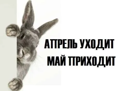 Красивые картинки с Последним апрельским днем
