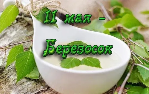 Красивые и новые открытки на Березосок