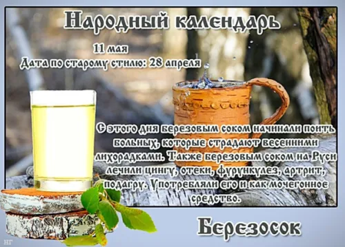 Красивые и новые открытки на Березосок
