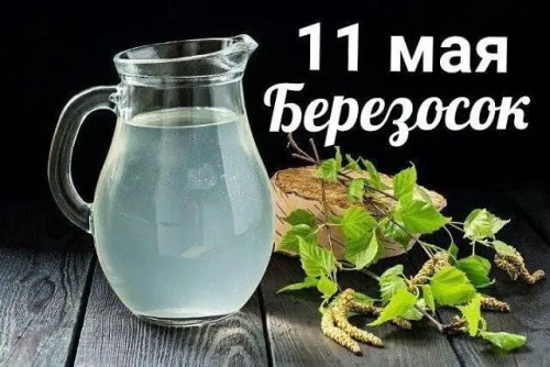 Красивые и новые открытки на Березосок