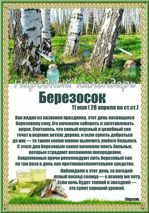 Красивые и новые открытки на Березосок
