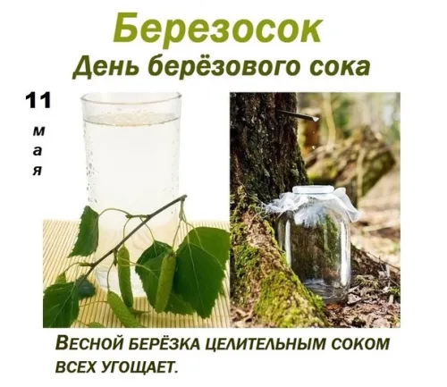 Красивые и новые открытки на Березосок