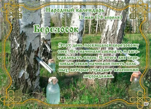 Красивые и новые открытки на Березосок