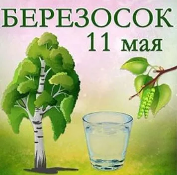 Красивые и новые открытки на Березосок