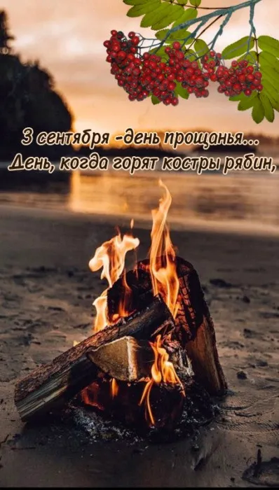 Прикольные картинки и мемы на Шуфутинов день