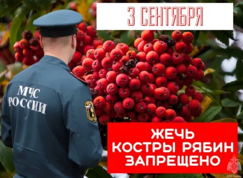 Прикольные картинки и мемы на Шуфутинов день