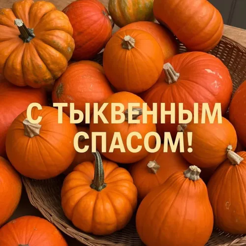 Красивые открытки с Тыквенным Спасом